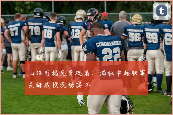 山猫直播免费观看：揭秘中超联赛关键战役现场实况