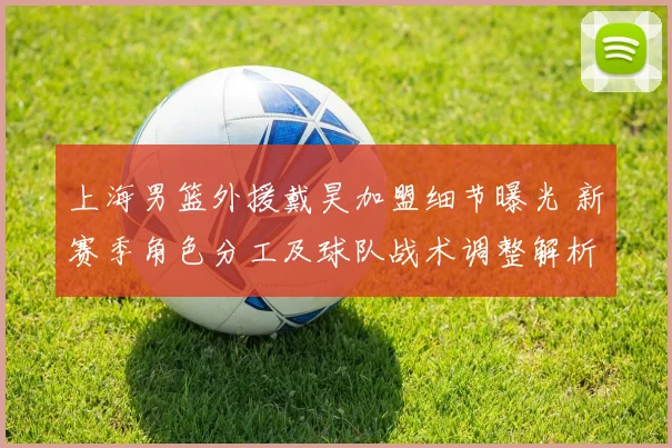 上海男篮外援戴昊加盟细节曝光 新赛季角色分工及球队战术调整解析