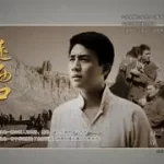红豆杉育苗管理要点:提高缓苗质量从这些细节开始