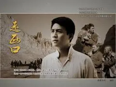 红豆杉育苗管理要点：提高缓苗质量从这些细节开始 红豆杉育苗 育苗