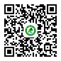 红豆杉育苗管理要点:提高缓苗质量从这些细节开始 红豆杉育苗管理要点:提高缓苗质量从这些细节开始