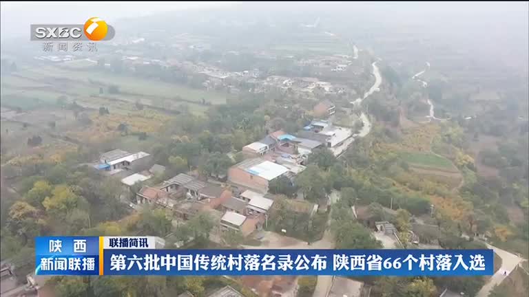 红豆杉移栽后如何管理？浇水、遮阴与根系恢复要点 红豆杉移栽 移栽