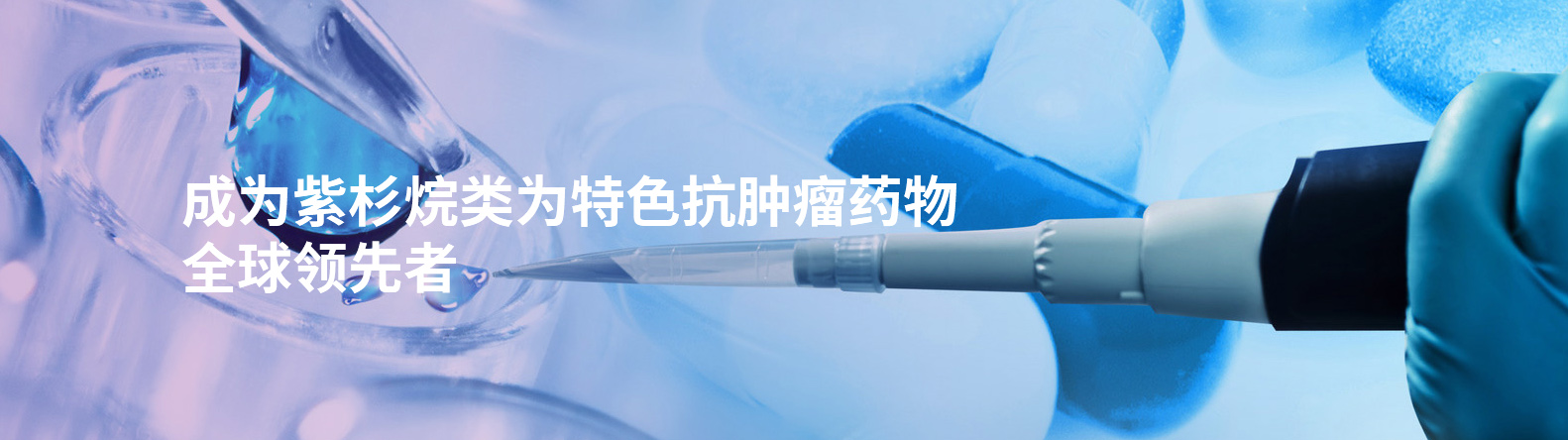 红豆杉扦插繁殖要注意什么？基质、湿度与生根管理思路 红豆杉扦插 繁殖