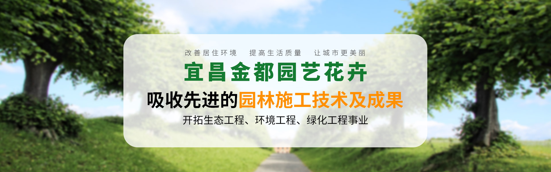 园林绿化中红豆杉怎么配置?从环境适应到后期养护 园林绿化中红豆杉怎么配置?从环境适应到后期养护