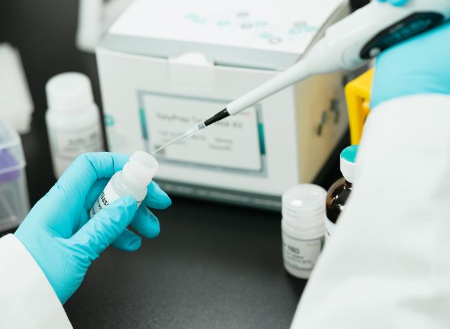 红豆杉苗木运输前后怎么管理?减少失水和机械损伤的方法 红豆杉苗木运输前后怎么管理?减少失水和机械损伤的方法