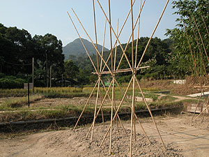 红豆杉苗木秋季管理重点:促壮、控水与越冬准备 红豆杉苗木秋季管理重点:促壮、控水与越冬准备