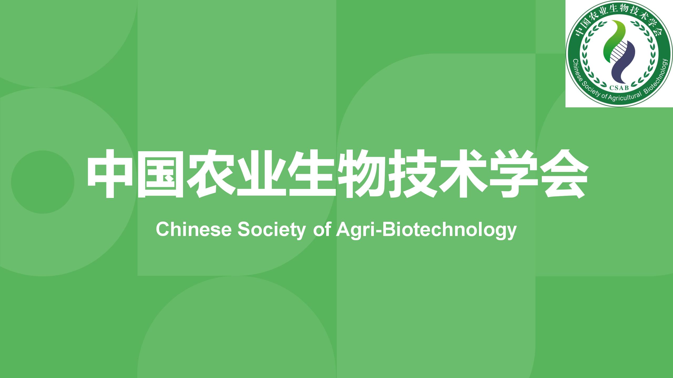 红豆杉苗木为什么长势弱?从土壤、水分和根系逐项排查 红豆杉苗木为什么长势弱?从土壤、水分和根系逐项排查
