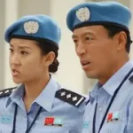 红豆杉种植地排水为什么重要？积水环境的风险与改善方法
