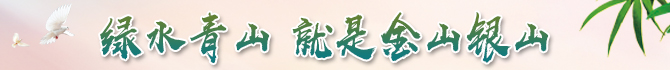红豆杉种植地排水为什么重要?积水环境的风险与改善方法 红豆杉种植地排水为什么重要?积水环境的风险与改善方法