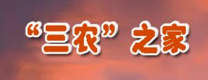 绿化苗木定植前需要做什么？红豆杉等常绿苗木通用准备