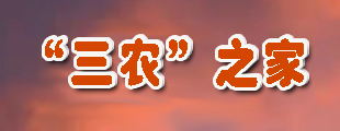 绿化苗木定植前需要做什么？红豆杉等常绿苗木通用准备 绿化苗木 定植