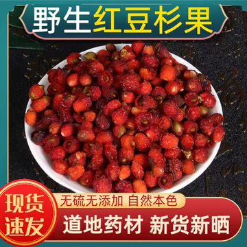林木育苗过程中如何做好苗期分级与弱苗管理 林木育苗过程中如何做好苗期分级与弱苗管理
