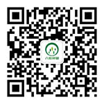 红豆杉苗木供应前如何做好起苗准备和批次整理