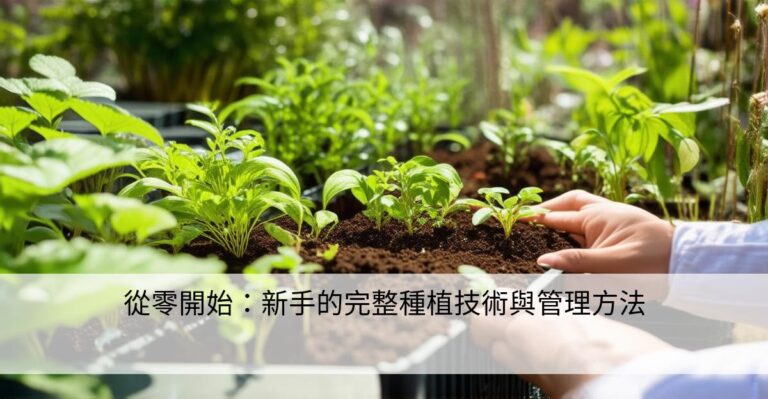 红豆杉苗木供应前如何做好起苗准备和批次整理