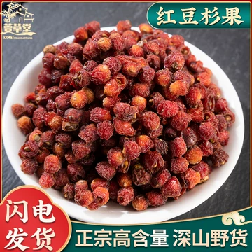 红豆杉适合哪里种植？判断场地前先看这几个环境条件