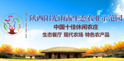 红豆杉怎么种更稳妥?新手也能看懂的定植管理流程 红豆杉怎么种更稳妥?新手也能看懂的定植管理流程