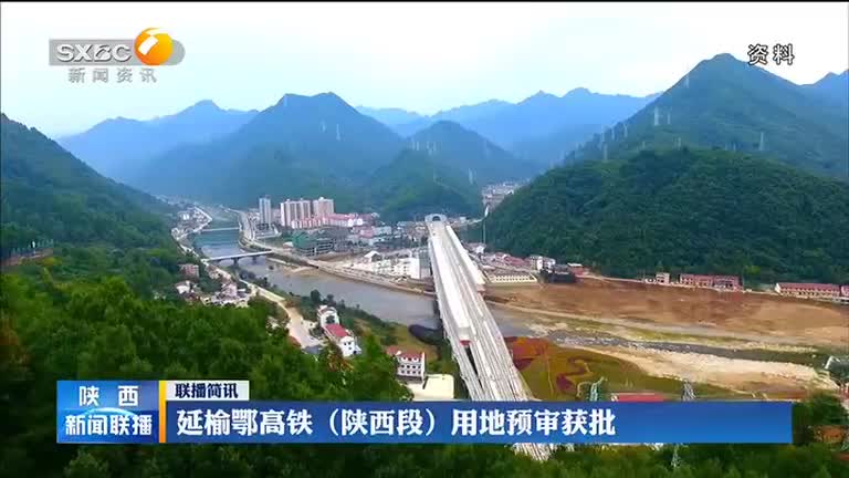 农业种植中如何降低苗木移栽损耗？标准化操作很重要 农业种植技术 移栽损耗
