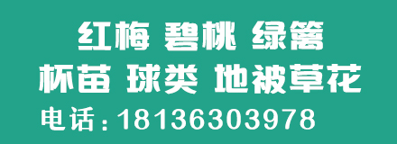 陕西苗木基地如何做好四季管理?从春季萌芽到冬季防护 陕西苗木基地如何做好四季管理?从春季萌芽到冬季防护
